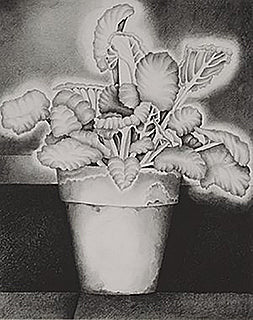 AFRICAN VIOLET - 1 - JULIA D'ARCY