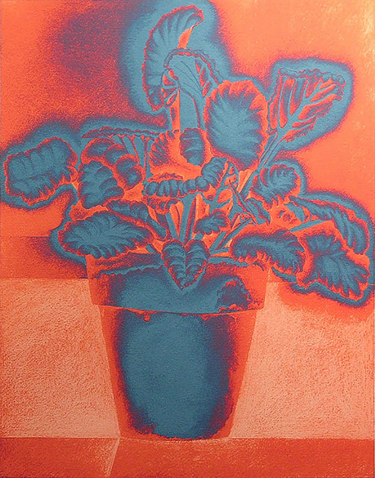 AFRICAN VIOLET - 1 - JULIA D'ARCY