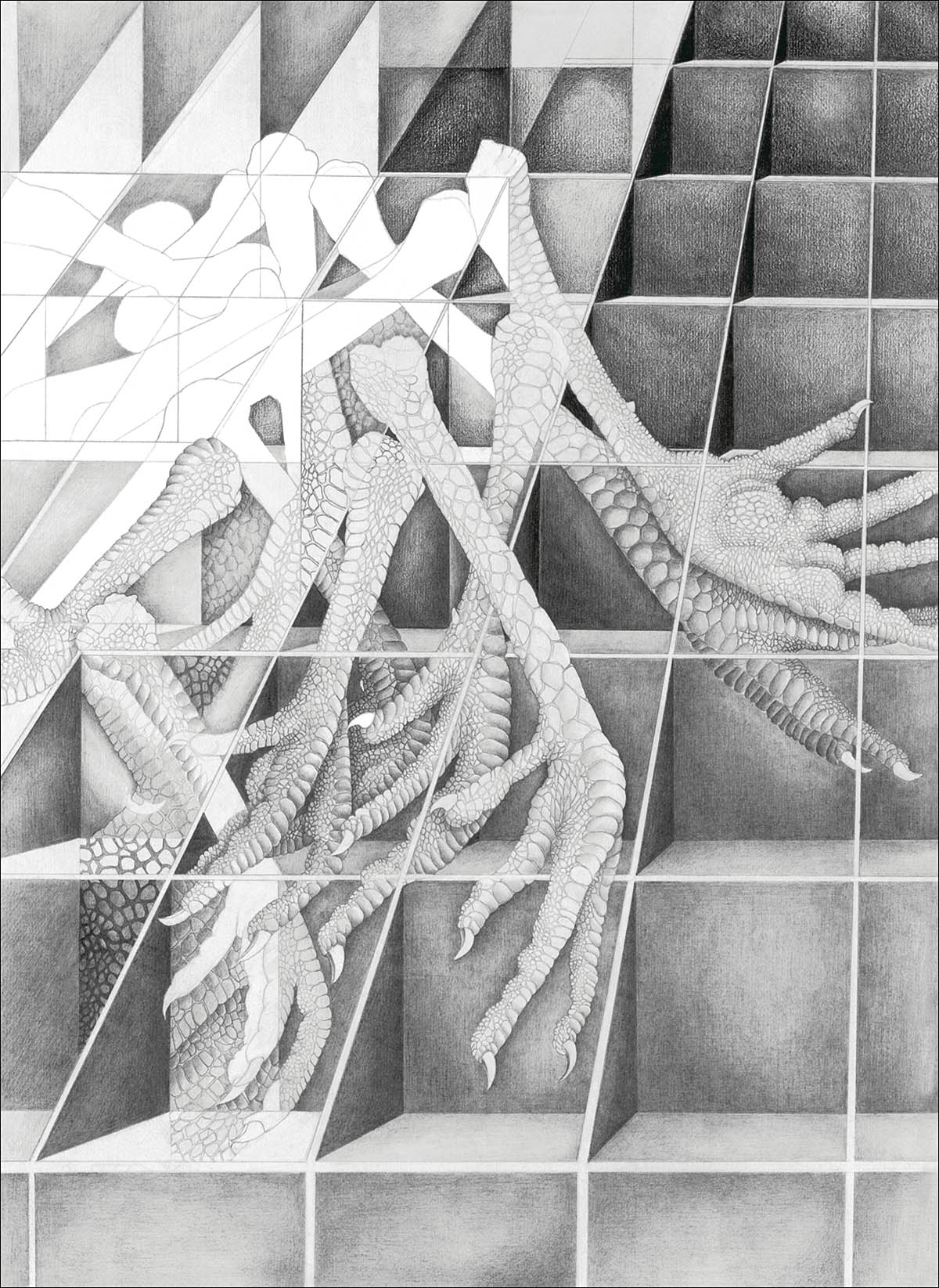 Dissection of a Drawing  (Original graphite drawing, New Prints Project series), artist, Julia d'Arcy. Original graphite drawing exhibited at
The Fundació Joan Miró , Barcelona
